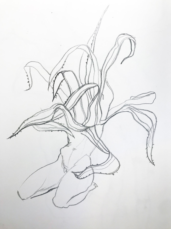 Dibujo propio - Mujer fuerza vegetal