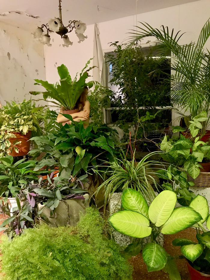 Donación de mi jardín personal al proyecto patio interior en Córdoba