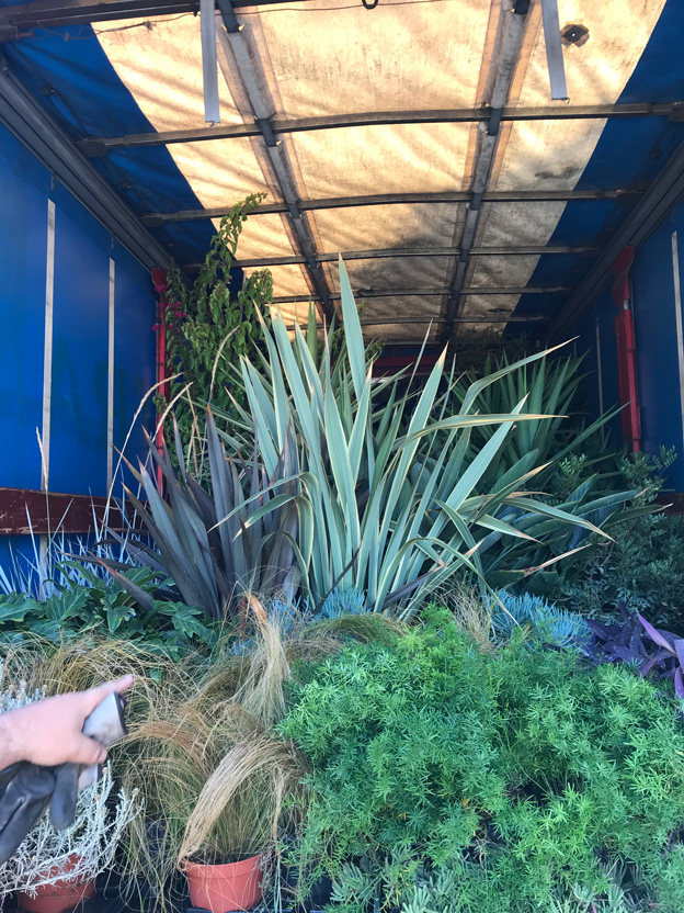 Personalmente elijo las plantas y coordino el traslado