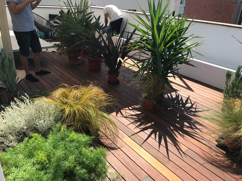 Proceso, trabajo en equipo