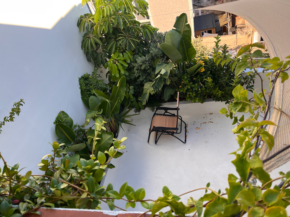 Jardín después de meses de trabajo, creciendo con mucha fuerza