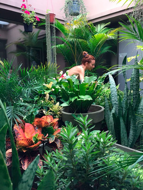 Patio jardín en Córdoba, Argentina