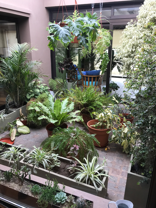 Patio jardín interior en Córdoba en proceso