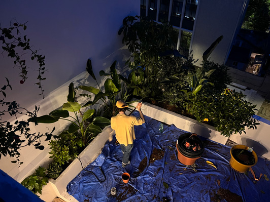 Trabajamos mi compañero y yo personalmente en la plantación