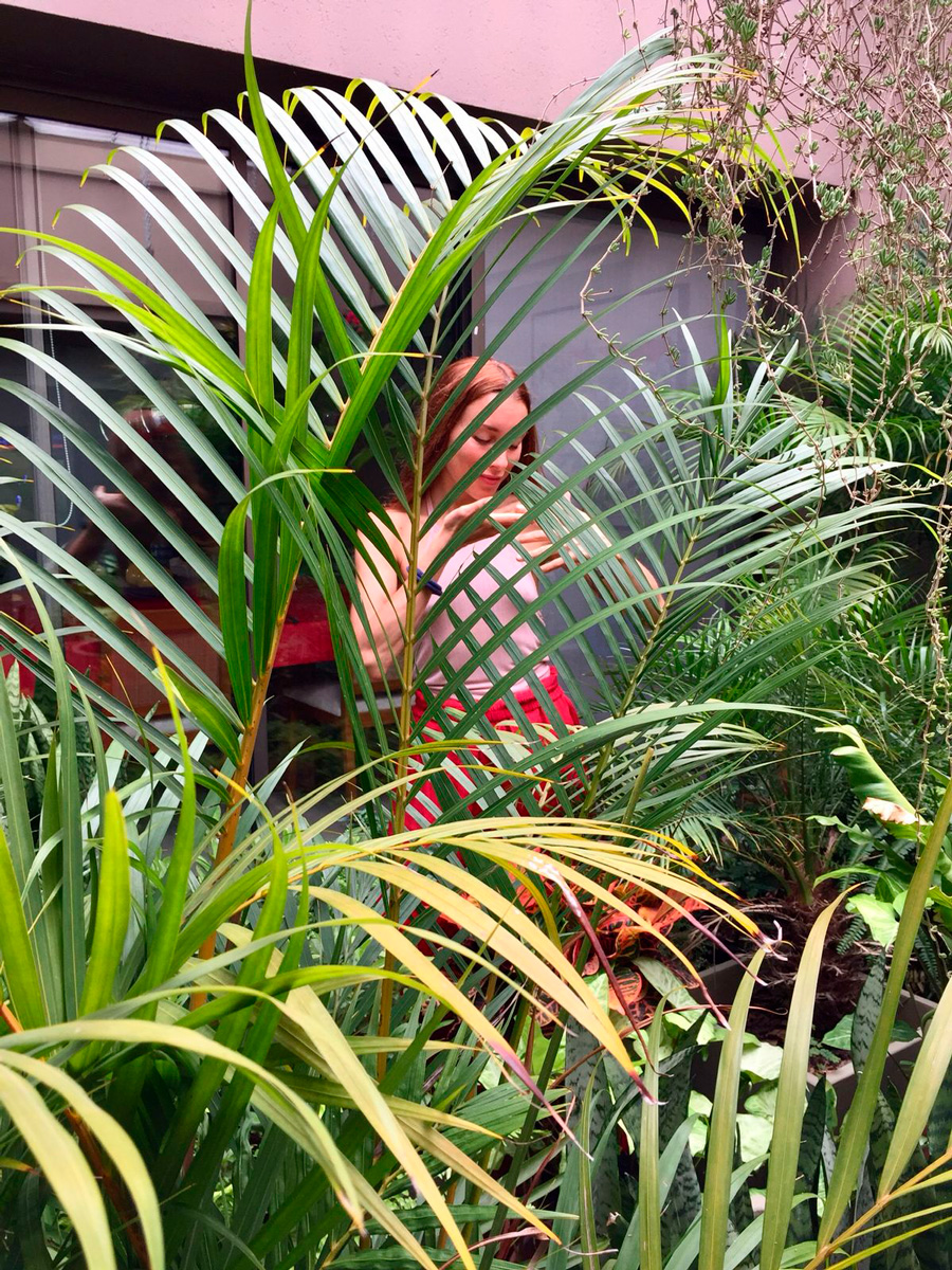 Visita y cuidado del jardín