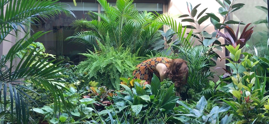 Cuidado del jardín